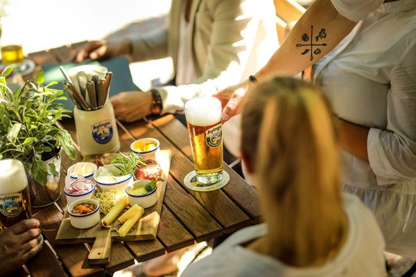 Guests sit at a wooden table in the beer garden, where they are served beer, snacks with cheese, spreads, and radishes.