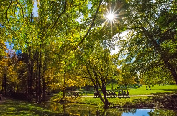 Sonnenlicht fällt durch die grünen Bäume im Englischen Garten in München, während Menschen entspannt im Park spazieren gehen.