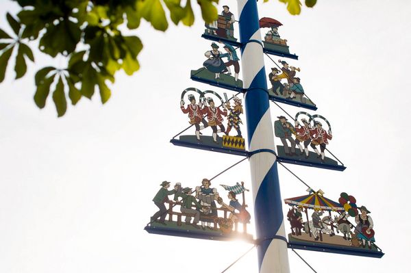 Typisch bayerischer Mainbaum in München
